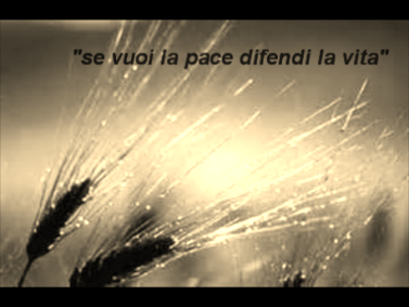 Istantanea 5 (05-02-2016 22-46)