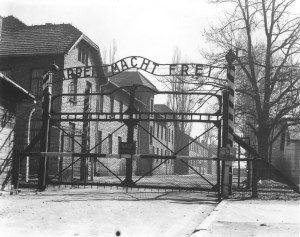 iiws-2co-brama-muzeum-auschwitz4