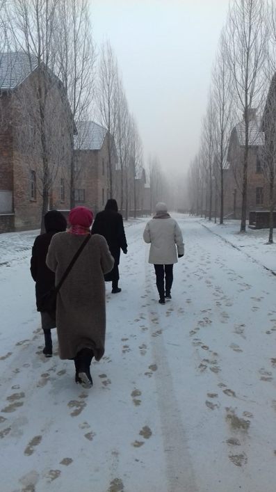 16684015_1423899970974383_6379939815040947521_n