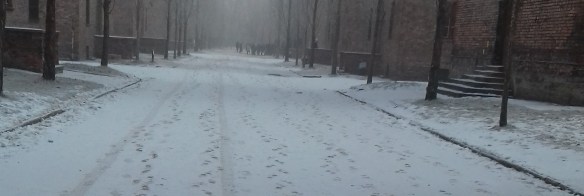 2-febbraio 2018-FREDDO_ITA-1-1.jpg